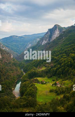 Vista del fiume Tara dal Ponte dell'arco Djurdjevic, paesaggi montani del Montenegro Foto Stock