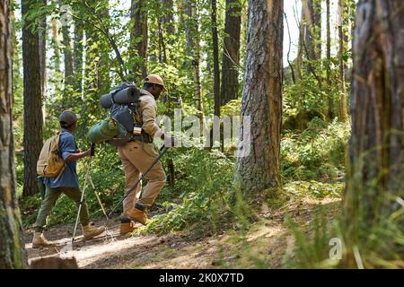 Vista laterale di carino scolaro con zaino e bastoni da trekking seguendo il nonno con zaino mentre si muove in salita tra i pini Foto Stock