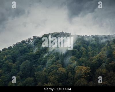 Tranquillo scenario autunnale con nubi nebbiose che si muovono attraverso la foresta mista sulla cima di una collina in una giornata buia. Paesaggio autunnale naturale nei boschi, rai Foto Stock