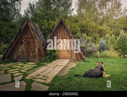 Il cane fedele guarda la casa guardando intorno come sdraiato nel cortile. Concetto fedele dell'animale domestico. Sfondo di campagna Foto Stock