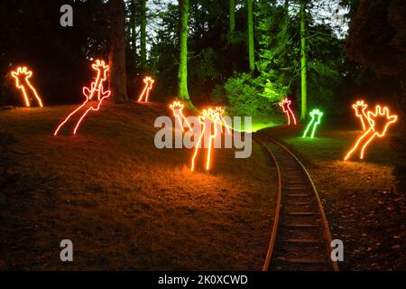 Belle installazioni di arte leggera sotto forma di giraffe a Grugapark Foto Stock