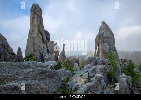 USA, Great Plains, South Dakota, Black Hills, Custer state Park, Gli aghi, l'occhio dell'ago Foto Stock