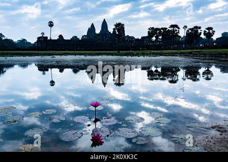 Cambogia. Provincia di Siem Reap. Una silhouette di Angkor Wat (Città del Tempio) e il suo riflesso nel lago al mattino presto. Un complesso buddista e tempio Foto Stock