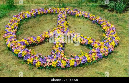 Segno pacifista fatto di fiori colorati in giardino Foto Stock