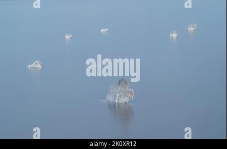 I resti di vecchie pile di legno ricoperte di cristalli di sale che sporgono sopra la superficie del lago salato Elton Foto Stock