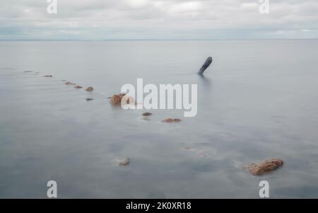 I resti di vecchie pile di legno ricoperte di cristalli di sale che entrano nel lago salato Elton nella regione di Volgograd Foto Stock