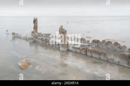 I resti di vecchie pile di legno ricoperte di cristalli di sale che entrano nel lago salato Elton nella regione di Volgograd Foto Stock