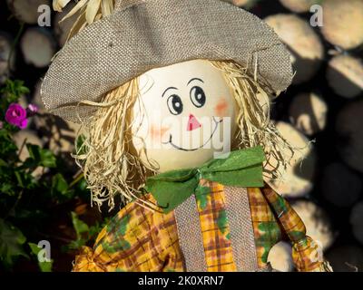 La bambola dello Scarecrow in giardino Foto Stock