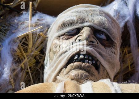 Maschera di zombie non morta. Faccia mummia. Concetto per il festival di Halloween abito o carnevale. Primo piano Foto Stock