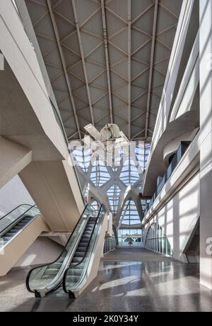 Città delle Arti e delle Scienze (Ciutat de les Arts i les Ciències) a Valencia, Spagna. Foto Stock