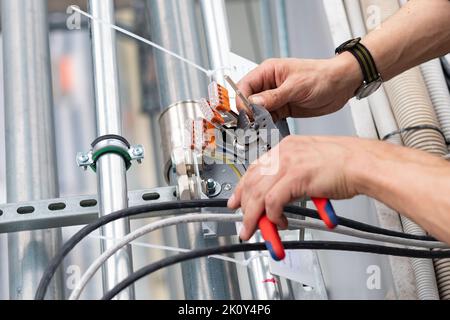 Un ingegnere elettrico aggraffa i fili e mette su morsettiere, mani ravvicinate. Manutenzione e posa di linee di cavi in cantiere. Foto Stock