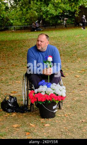 L'uomo in sedia a rotelle vende fiori di plastica nel Green Park Foto Stock