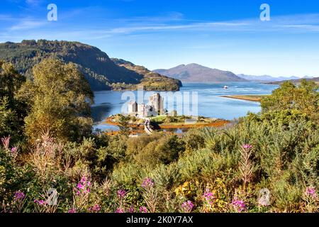EILEAN DONAN CASTELLO LOCH DUICH KINTAIL SCOZIA FINE ESTATE SUL LOCH E ROSEBAY WILLOWHERB FIORI CHAMERION ANGUSTIFOLIUM Foto Stock