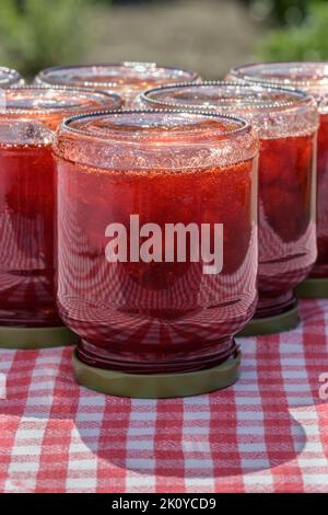 Vasetti di vetro con marmellata di fragole fresca fatta in casa, in piedi capovolti su un tavolo con una tovaglia rossa a scacchi. Foto Stock