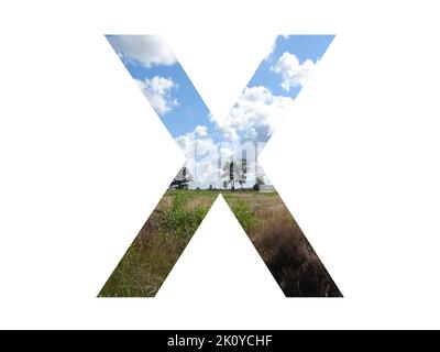 Lettera X dell'alfabeto fatta di paesaggio con nuvole, cielo azzurro, alberi, sole, erba e brughiera, con i colori blu, bianco, verde, rosa e giallo Foto Stock