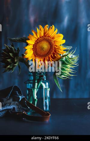 Bouquet di girasoli in un antico barattolo blu con grembiule nelle vicinanze. Messa a fuoco selettiva con sfondo sfocato. Foto Stock