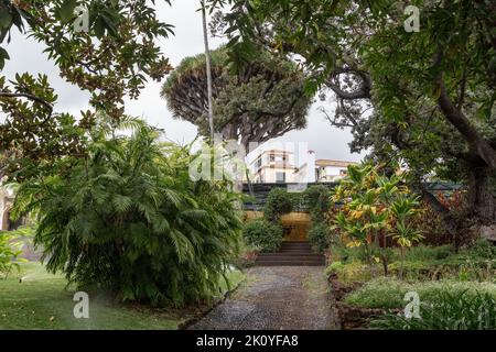 FUNCHAL, PORTOGALLO - 25 AGOSTO 2021: Questo è uno dei vicoli del giardino del vecchio museo della tenuta Quinta das Cruzes. Foto Stock