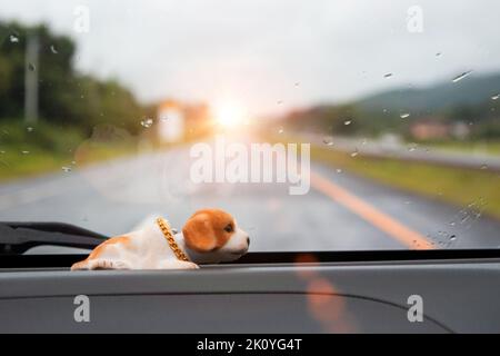 Bambola marrone cane cucciolo che scuote la testa annuita in auto Foto Stock