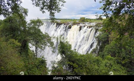 Cascate Vittoria nella stagione delle piogge con molta acqua e nebbia. Fotografato attraverso una radura dell'albero. Foto Stock