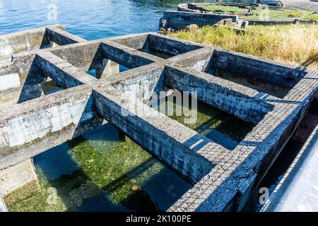 Una struttura in cemento al Disckman Mill Park a Ruston, Washington. Foto Stock