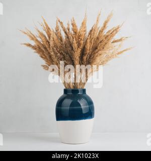 Erba di pampas asciutta in un vaso Foto Stock