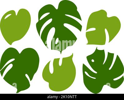 Moderno set di foglie tropicali monstera. Set di illustrazioni vettoriali piatte isolato su bianco. Illustrazione Vettoriale