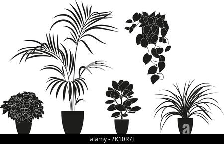 Collezione silhouette di piante da casa in colore nero. Piante in vaso isolate su bianco. Set verde piante tropicali. Arredamento alla moda casa. Illustrazione Vettoriale