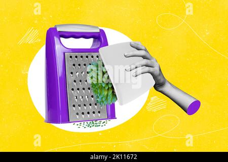 Creative 3D foto grafica pittura di mano tenendo succulente houseplant uso grater cottura sana insalata biologica nutrizione pasto Foto Stock