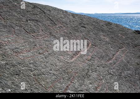 Paesaggi meravigliosi in Norvegia. Le incisioni rupestri preistoriche a Solbakk. Proprio accanto alla strada panoramica norvegese Ryfylke. Skerries rocciosi. Isole in b Foto Stock