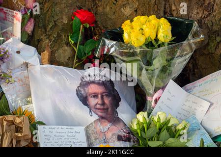 Londra Regno Unito. 14 settembre 2022. I membri del pubblico continuano a portare fiori e messaggi personali di cordoglio a Green Park vicino a Buckingham Palace per esprimere la loro tristezza e la loro simpatia dopo la morte della regina Elisabetta II, il più lungo monarca britannico che serviva, morto al castello di Balmoral il 8 settembre.Photo Horst A. Friedrichs Alamy Live Notizie Foto Stock