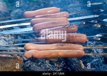 Salsiccia rustica su uno spiedino al palo-salsicce sono fritti su un fuoco aperto nella foresta - cibo da campeggio. Foto Stock