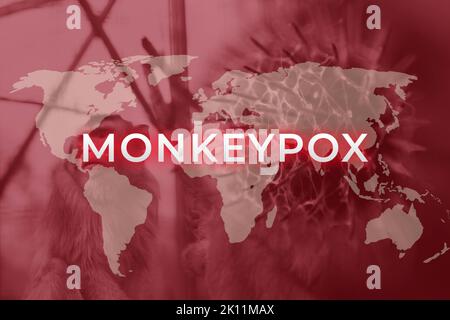 Monkeypox nuova malattia pericolosa in tutto il mondo. Pandemia del virus Monkeypox. Sfondo rosso. Virus trasmesso agli esseri umani da animali. Vaccino contro il virus della varicella Foto Stock