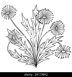 Illustrazione disegnata a mano del fiore del dente di leone con le foglie, pianta del giardino di prato selvaggio. Disegno minimalista con linee nere, disegno botanico estivo con linee nere Foto Stock