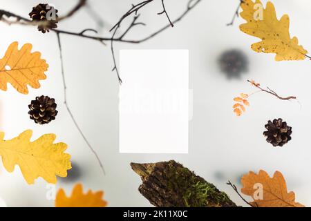 Foglie autunnali su fondo a più livelli, con elementi naturali, driftwood e rami. Beffa di una cartolina bianca. Foto di alta qualità Foto Stock