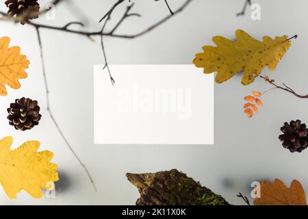 Foglie autunnali su fondo a più livelli, con elementi naturali, driftwood e rami. Beffa di una cartolina bianca. Foto di alta qualità Foto Stock