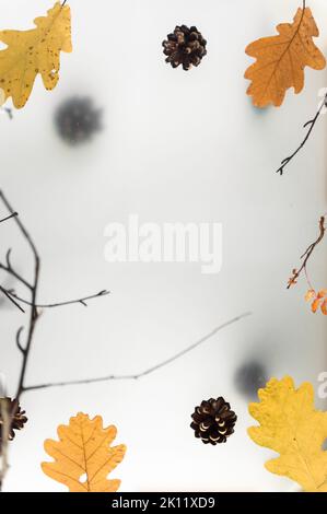 Foglie autunnali su fondo a più livelli, con elementi naturali, driftwood e rami. Foto di alta qualità Foto Stock