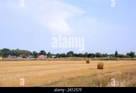 Rotoli di paglia nel campo dopo la raccolta del grano sullo sfondo delle case del villaggio. Foto Stock