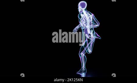 Sistema scheletrico di running man, Anatomia ossea durante la corsa, fisico umano e sport, joggers, running man, medico accurato, fitness, Esecuzione umana Foto Stock