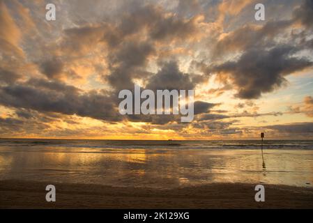 Spiaggia nel nord dell'Olanda a Bergen aan Zee Foto Stock