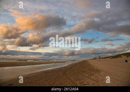 Spiaggia nel nord dell'Olanda a Bergen aan Zee Foto Stock