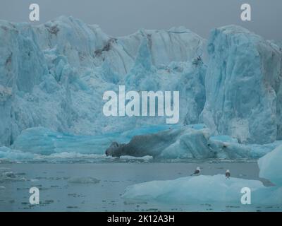 Vista panoramica del 14th luglio Ghiacciaio o la Fjortende Julibreen. È un bellissimo ghiacciaio che si trova nel nord-ovest di Spitsbergen. Foto Stock