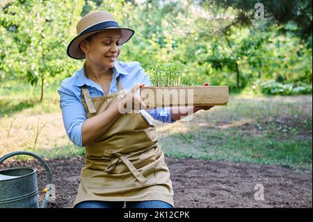 Donna affascinante giardiniere agricoltore seduto a terra e esaminando piantine di pomodoro prima di piantare in campo aperto Foto Stock