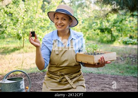 Affascinante donna contadina di mezza età sorridente tiene una cassa di legno con germogli germogliati e un'insaporire con radici in terra Foto Stock