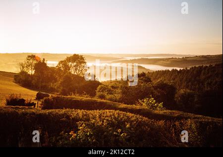 Alba sulla valle di Taw fotografata da High Bickington, North Devon, Inghilterra, Regno Unito. Foto Stock