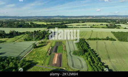 Cocomero citrullus lanatus piantare bio fattoria pianta campo crescita agricoltura drone aereo, coltivatore citron melone foraggio a semi rossi conservazione agricola Foto Stock