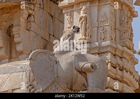 Vista sulla scimmia seduta sulla statua di elefante al tempio Krishna Meera in Amer in India Foto Stock