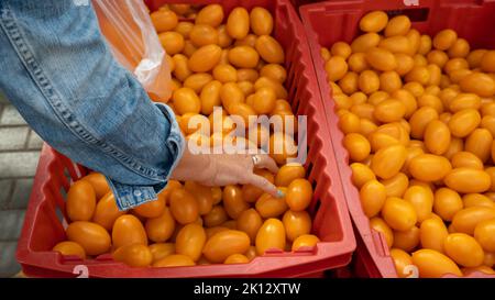 Due grandi scatole di pomodori giallo prugna. Stile di vita sano. La donna sta facendo shopping. Foto Stock
