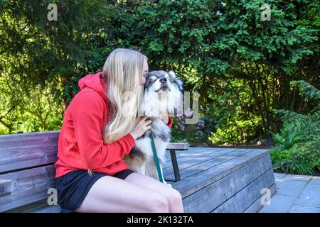 Giovane donna bionda o ragazza che bacia il suo cane finlandese Lapphund all'aperto Foto Stock