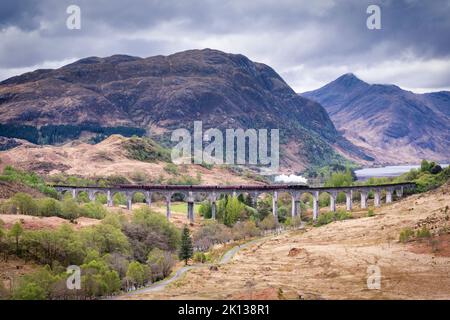 Il treno a vapore Jacobite che viaggia a Mallaig da Fort William, sul Viadotto di Glenfinnan, Highlands, Scozia, Regno Unito, Europa Foto Stock
