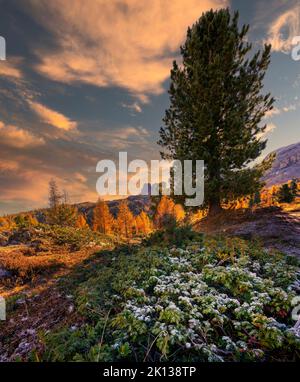 Nuvolau in autunno, Passo Falzarego, Dolomiti, Veneto, Italia, Europa Foto Stock